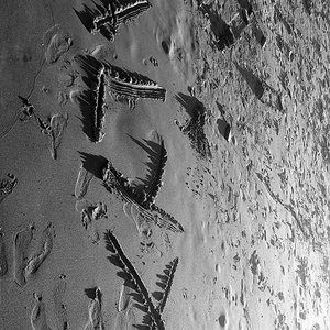 Meet your Posher, Alyx